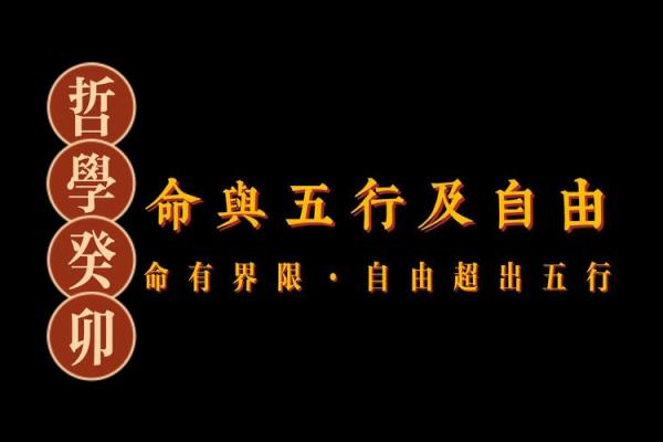 探寻“令不加借算而命”的深意：人生哲学的启示之旅
