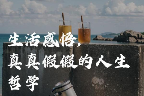 探寻“令不加借算而命”的深意：人生哲学的启示之旅