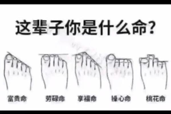 探秘命前命后：了解生命轨迹的隐秘密码