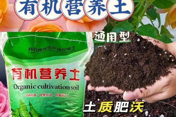 适合土壤肥沃的植物推荐：寻找命里土多的最佳选择