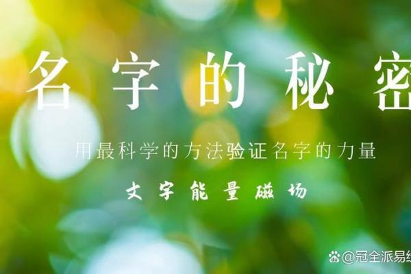 探秘名字的力量：五行属性与命运的深刻联系