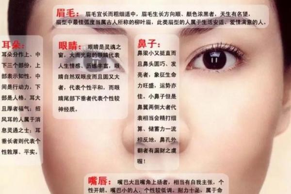 木命人该寻找什么样的伴侣？最适配对象解析！