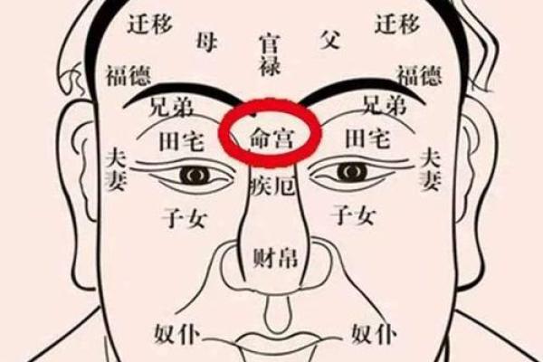 命理解析：孤寡命的深意与调和之道