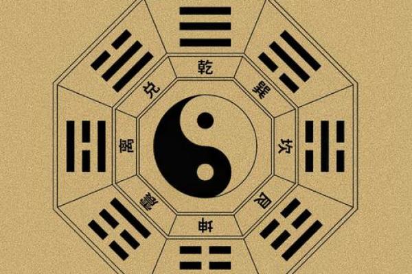 男命以财官为用：探索命理中的财富与权利之道