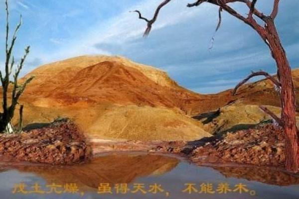 戊土之象：探秘命盘中戊的深刻含义与影响