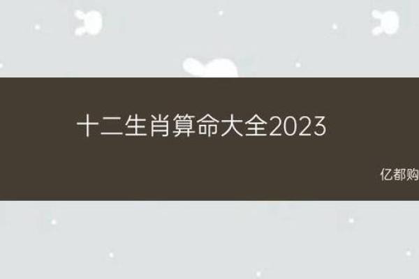 属相命理与生活运势：破解长辈的忠告