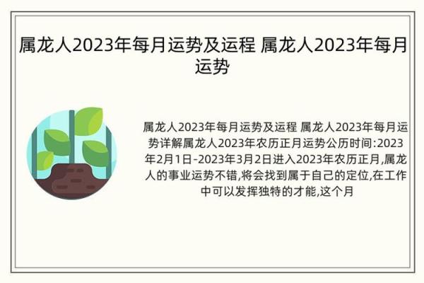 男属龙六月二十出生，命理解析与性格特征探秘