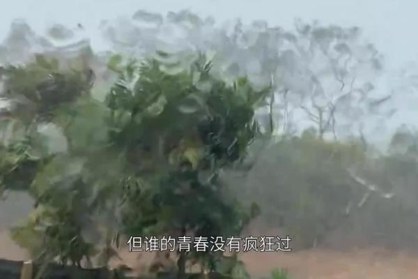 探秘“命威”背后的含义与影响力，如何改变人生轨迹？