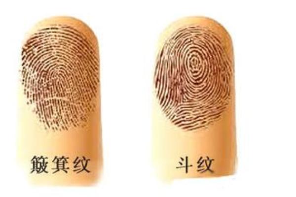 揭秘：女命中的“一个螺”象征着什么？深入解析个性与命运之关系！