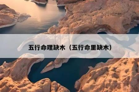 探秘名字中的五行力量：如何通过名字来解析木命之秘？
