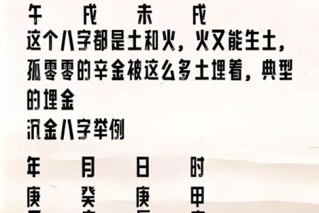 如何识别水命与火命，掌握五行之道带来好运气！