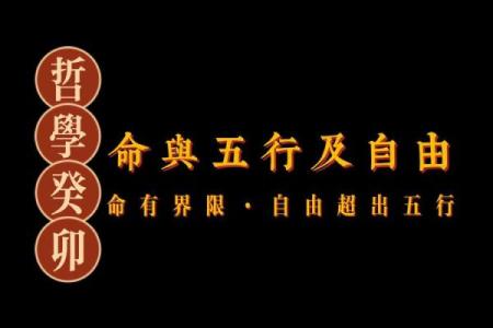 探寻“令不加借算而命”的深意:人生哲学的启示之旅