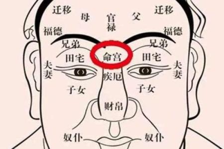 命理解析:孤寡命的深意与调和之道