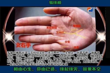 看手相,揭示你的富贵命和穷命!