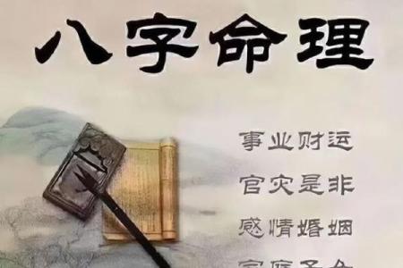 属相命理与生活运势：破解长辈的忠告