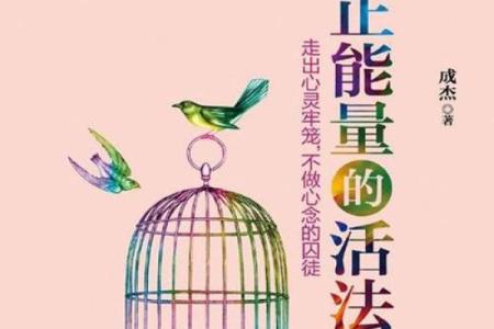 命理四正解析:如何理解人生轨迹中的太多与太少