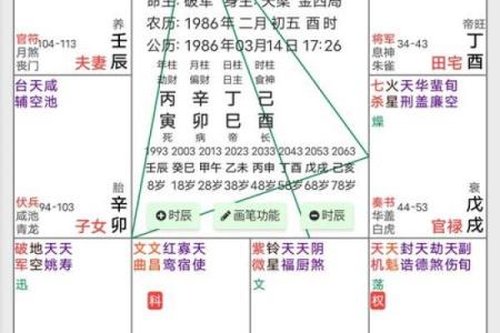 龙命理解析:如何选择适合女性的命理方向与风水建议