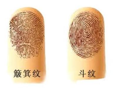 揭秘:女命中的“一个螺”象征着什么?深入解析个性与命运之关系!