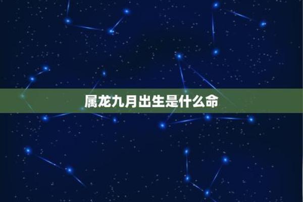 龙命理解析：属龙男人的命运与发展之道