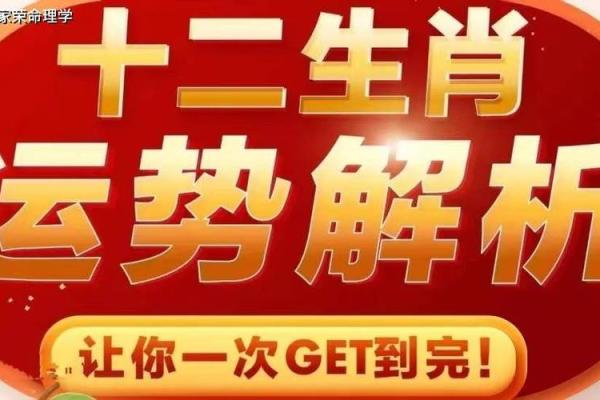 牛年运势解析：2024年属牛人的命运与机遇