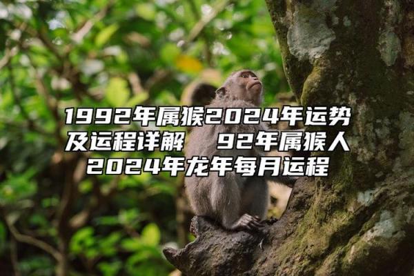 探秘女属猴在农历五月十二的命格与人生运势