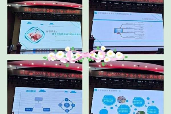 探寻“率命”背后的深意与内涵，开启全新视角