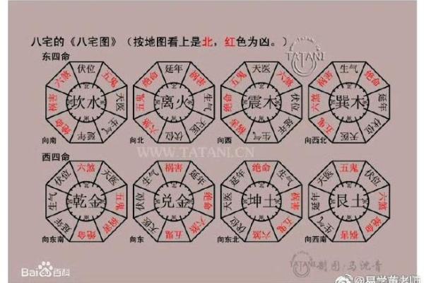 探讨坤命与最合拍命理的神秘配对之道