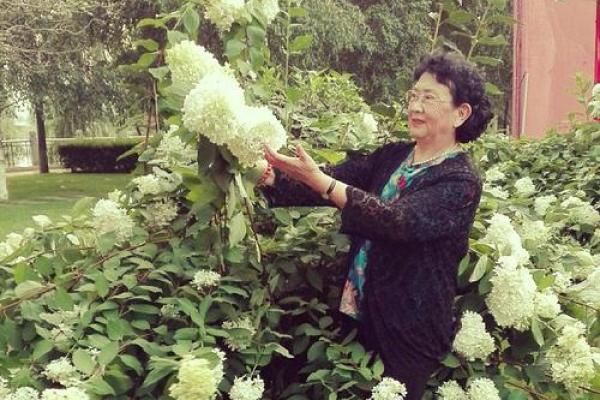 炉中火命与其他命理结婚的和谐之道