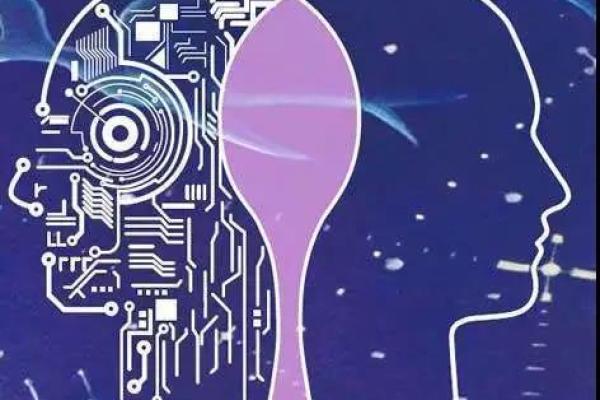 路旁土的命运：探秘生命奥秘与自然和谐之道