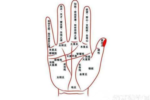 女生手指特征解析：你知道什么样的手指命最好吗？