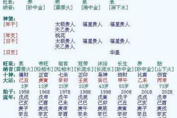 女命无正财，如何解读命理中的富贵与智慧？