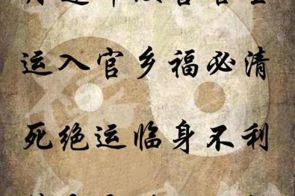 女命无正财，如何解读命理中的富贵与智慧？