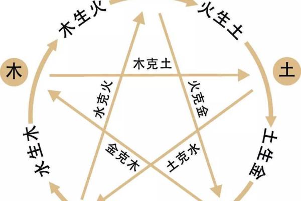 木命人与五行相克关系探究：如何选择合适的伙伴与避开冲突