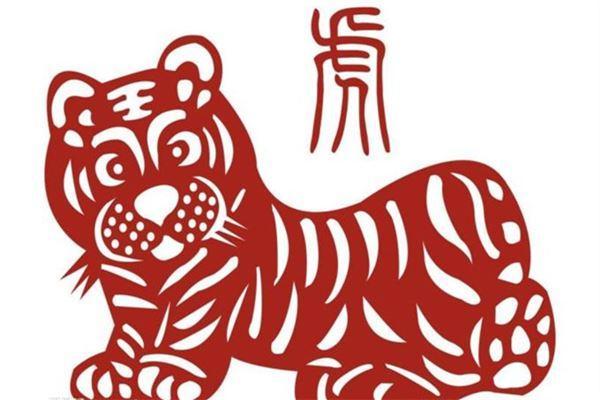 九五年属虎的命局解析：揭秘命运密码，展望未来人生！