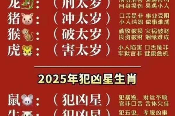 命理学中的两财库，探寻财富运势的奥秘与启示