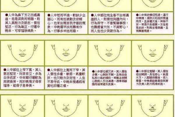 命局解读：如何通过八字分析了解自己的性格与未来方向
