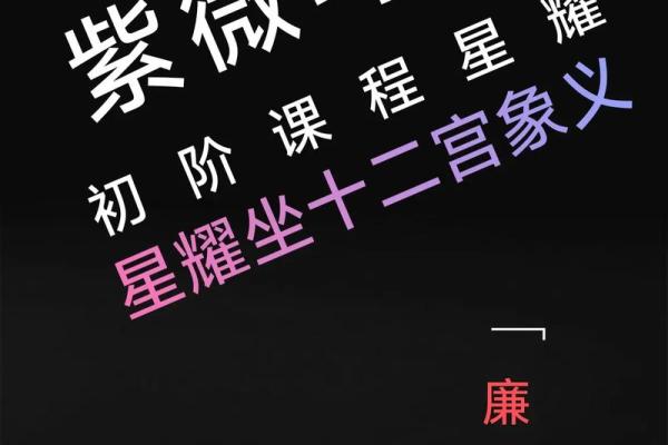 探秘廉贞星入命：揭示内心深处的命理密码