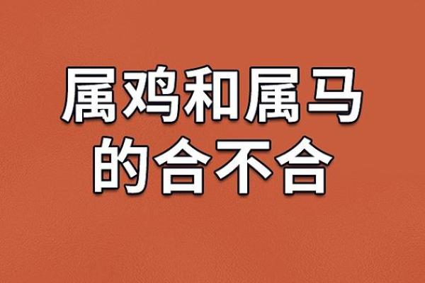 农历五月出生的鸡命运解析：我这一生的精彩篇章！