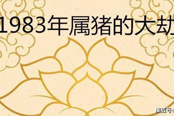 探秘1995年出生的“猪命”——性格、事业与情感的深刻解析