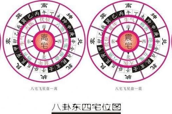 探秘震命东四命：命理学中的深邃智慧与生活应用