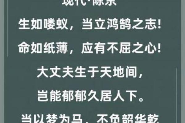 解读“命不朝保”：命运与后者的奇妙关联