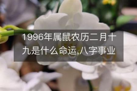 农历二月十九：命理解析与人生启示