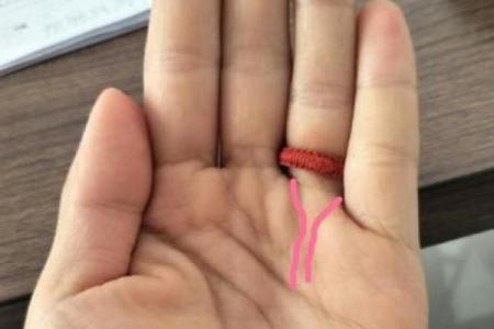 探秘女命天禄：命理中的福气与智慧之源