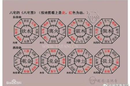 探讨坤命与最合拍命理的神秘配对之道