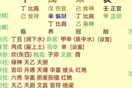 如何通过补救措施帮助两个正官男命找到人生方向与平衡