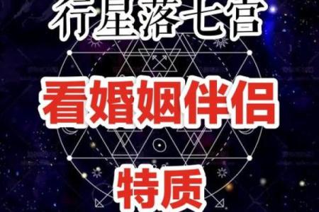 探讨女命中的好夫:理解与揭示理想伴侣的特质