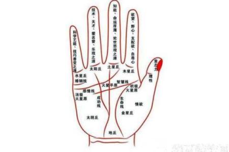 女生手指特征解析：你知道什么样的手指命最好吗？