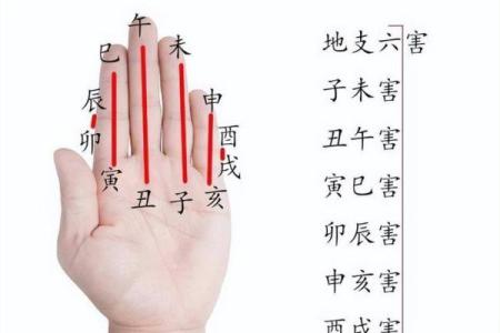 深入探讨:命格中寅亥合的深层意义与影响