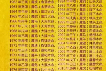 与木命人的最佳搭配：解密生命中的合命之道