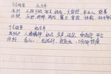 解密1993年3月10日的命运密码——探索生辰八字的奥秘与启示